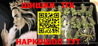 соль ск Сланцы