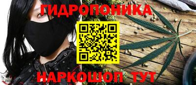 соль ск Сланцы
