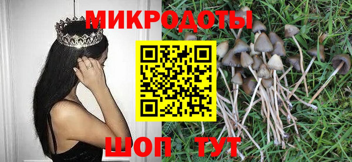 Галлюциногенные грибы мухоморы Самара